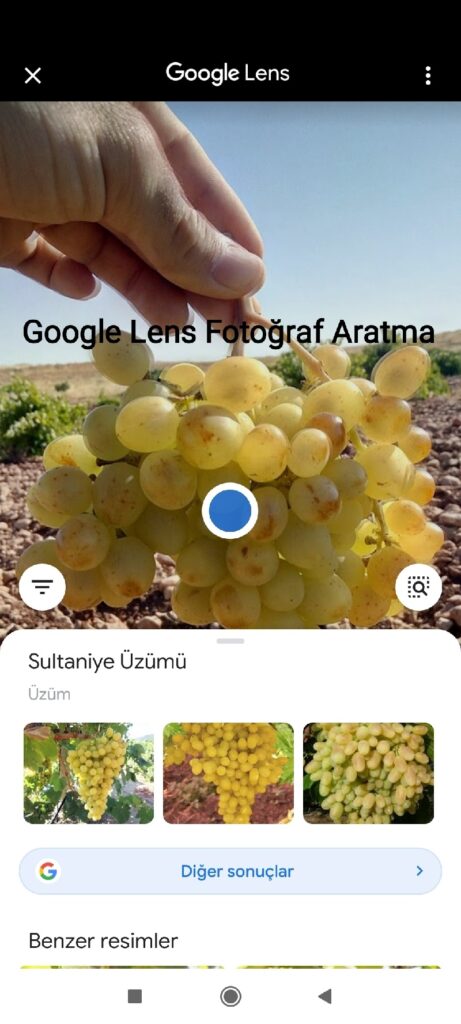 Google Lens Fotoğraf Aratma